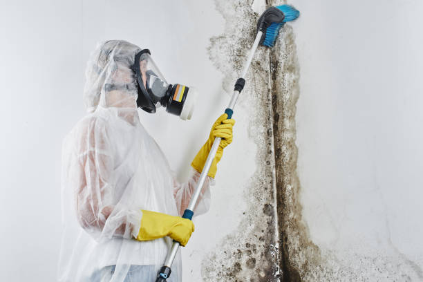 Water Damage Restoration in Robertsdale, AL
