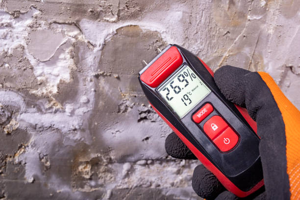 Best Same-Day Mold Removal  in Robertsde, AL
