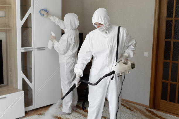 Best Office Mold Removal Services  in Robertsde, AL