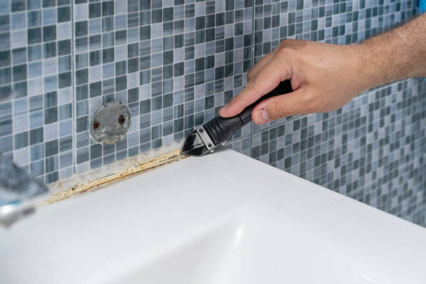 Best Home Mold Removal  in Robertsde, AL