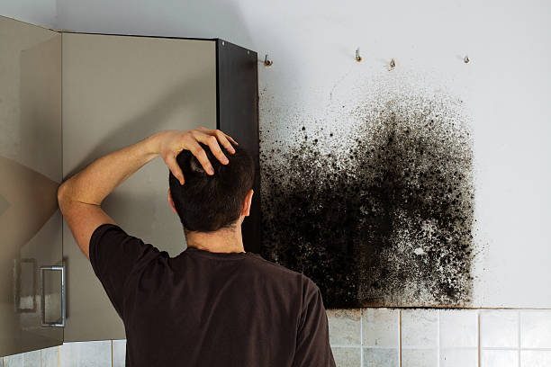 Best Home Mold Removal  in Robertsde, AL