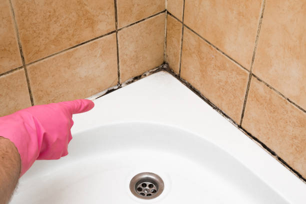 Best Emergency Mold Removal  in Robertsde, AL